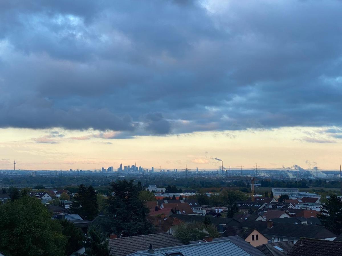 The Beverly Hills Of Frankfurt In Hofheim Penthouse Or Garden エクステリア 写真