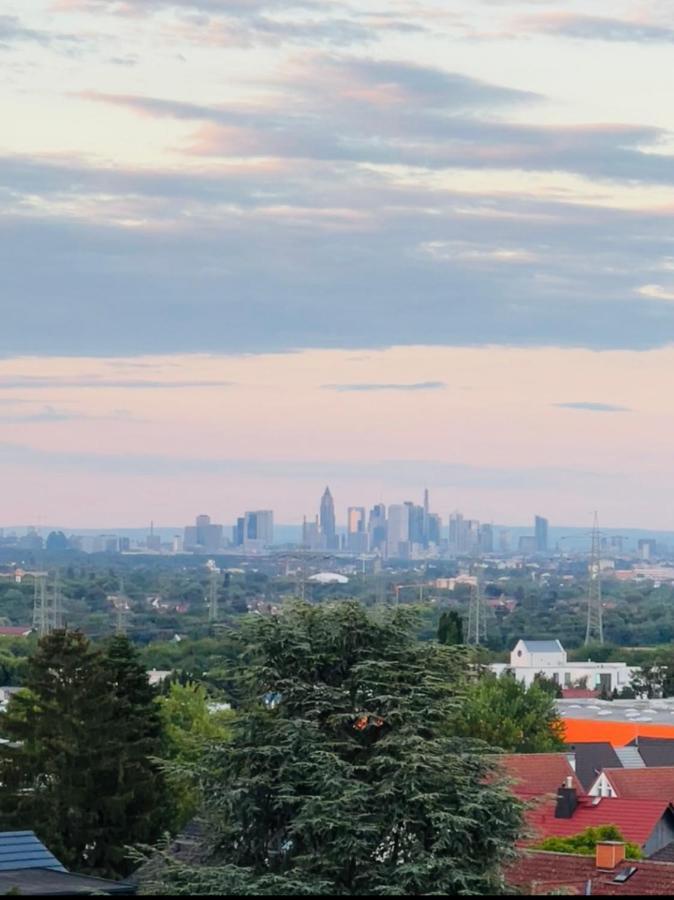 The Beverly Hills Of Frankfurt In Hofheim Penthouse Or Garden エクステリア 写真